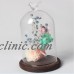 Large Glass Display Bell Jar Dome Cloche With Base Decorative Desk Vintage Stand   173385873851